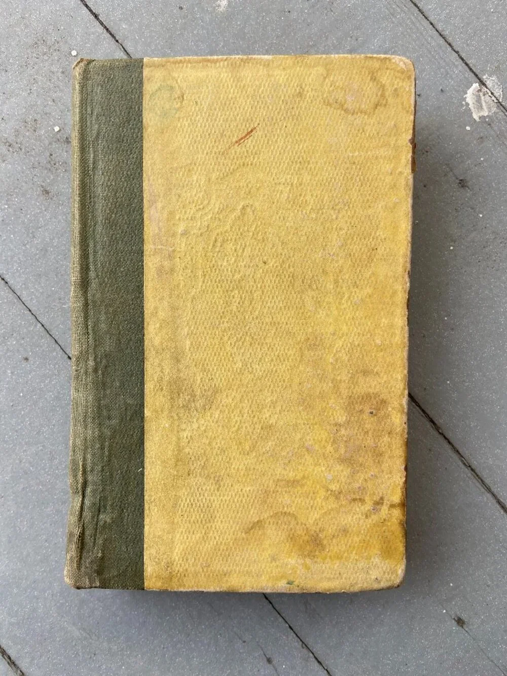 Antique 1847 Mary Howitt Sketches of Natural History Victorian Illustrated Book